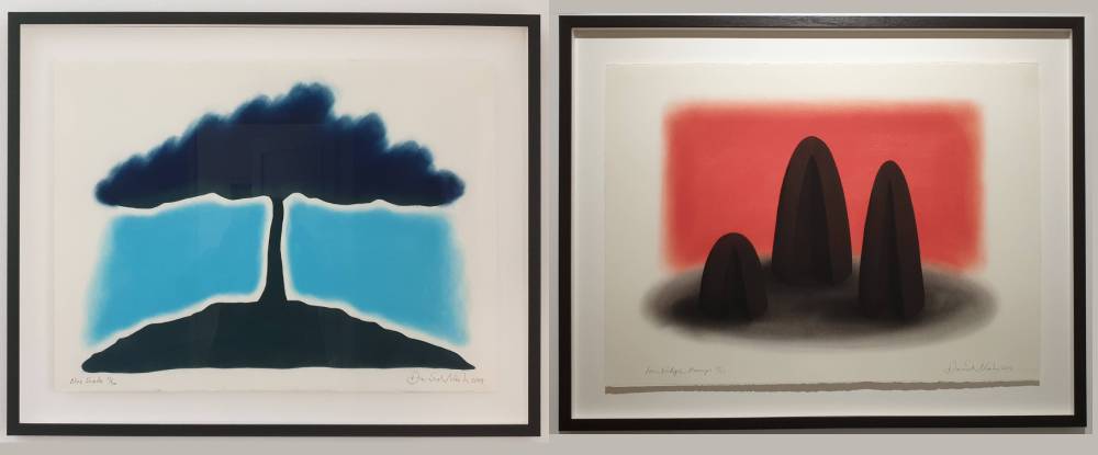 Blue Shade et Iron Bridge Humps /  David Nash - Photo 7 Jours à Clermont