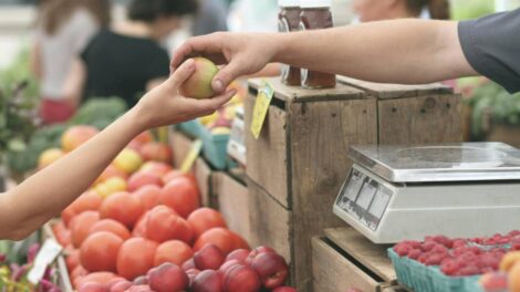 Marché / Photo Erik Scheel - Pexels