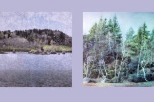 Marielsa Niels, paysages imaginaires, photographies