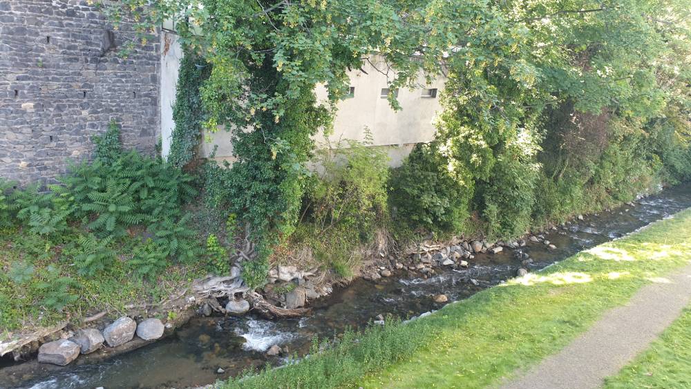 La Tiretaine renaturée rue de la Papeterie à Chamalières - 2 / Photo 7 Jours à Clermont
