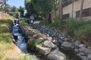 La Tiretaine renaturée rue de la papeterie à Chamalières / Photo 7 Jours à Clermont
