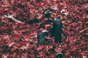 Photo Ashutosh Sonwani pexels