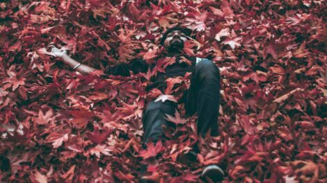 Photo Ashutosh Sonwani pexels