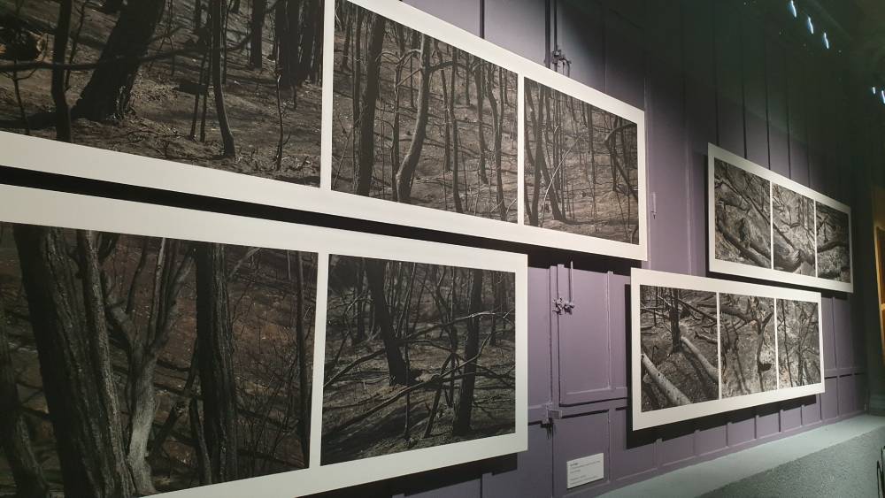 Expo photo "+ 2 degrés contre feux" Maryvonne Arnaud