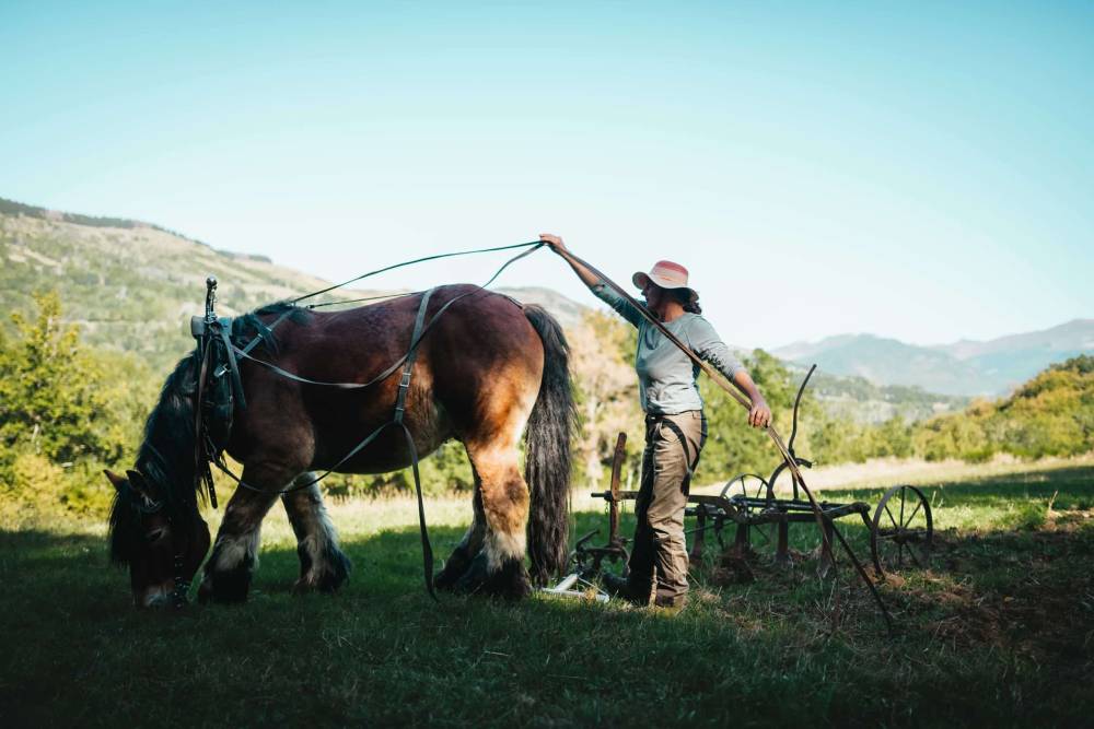 Hortense Dessallien Photo Grégoire Delanos