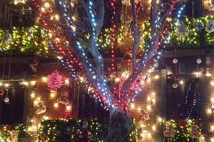 Noël chez Max Photo 7 Jours à Clermont