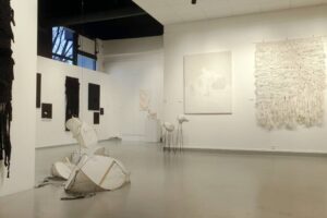 Exposition Marrit Veenstra Chamalières Photo 7 Jours à Clemont