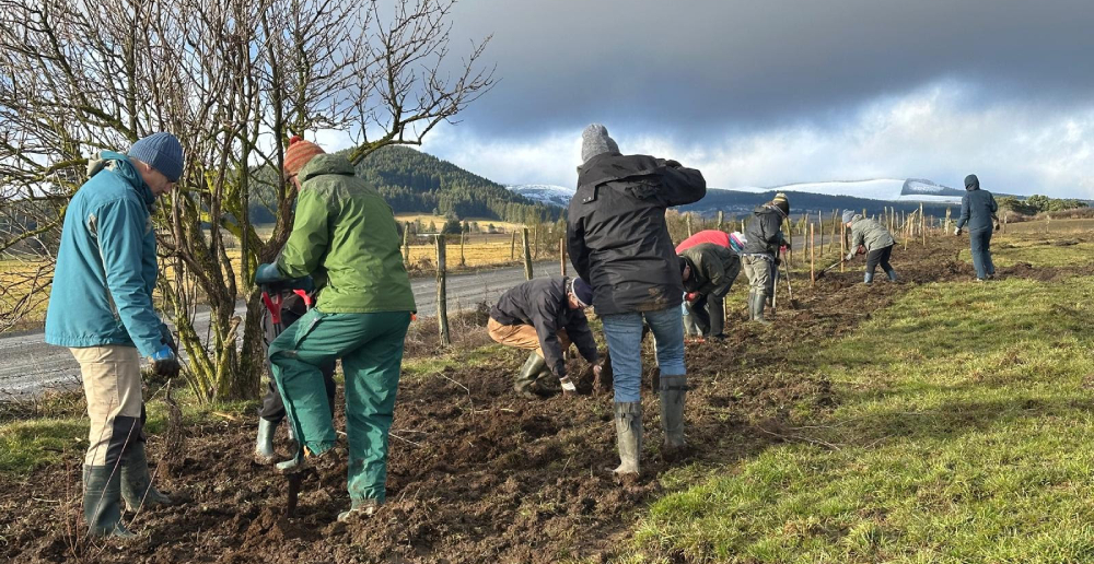 Chantier de plantation de haie au GAEC du Puy de Monteynard, 2026 Photo LPO AuRA