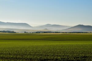 Paysage agricole auvegnat Photo Patrick Busson Pexels