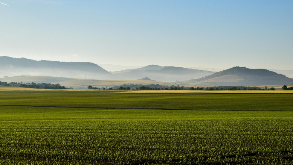 Paysage agricole auvegnat Photo Patrick Busson Pexels