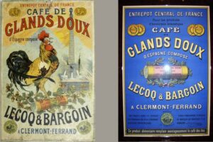 Un ersatz de café pas cher et une affaire juteuse. © Muséum d’histoire naturelle Henri Lecoq