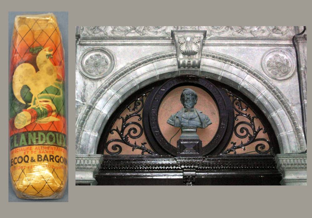 gland doux et fronton