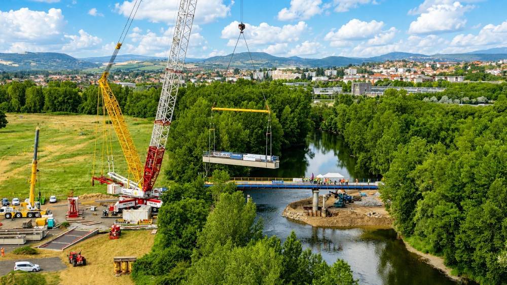 Grue géante au bord de l'Allier Photo Ludovic Mouveau
