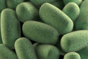 Greentech et l'Université Clermont Auvergne intensifient leur collaboration / Photo cdc