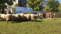 Des Ravat place de Jaude Photo 7 Jours à Clermont