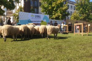 Des Ravat place de Jaude Photo 7 Jours à Clermont