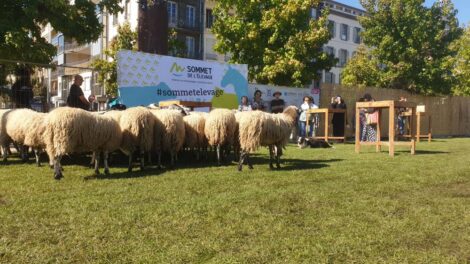 Des Ravat place de Jaude Photo 7 Jours à Clermont