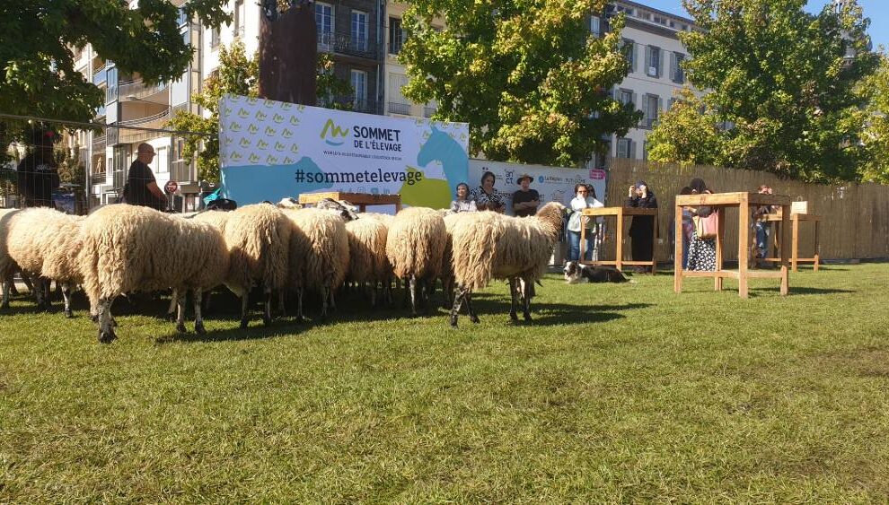 Des Ravat place de Jaude Photo 7 Jours à Clermont