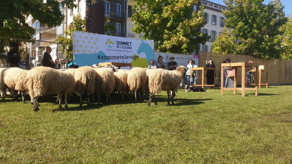 Des Ravat place de Jaude Photo 7 Jours à Clermont